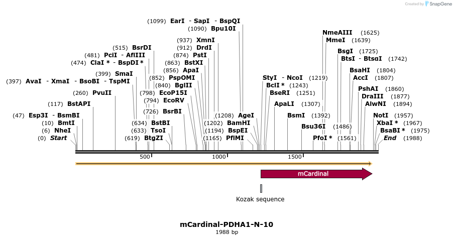 87071_map