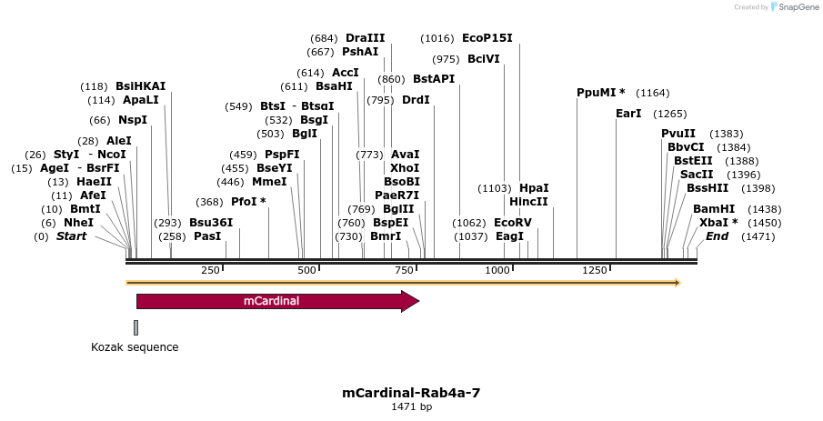 87073_map