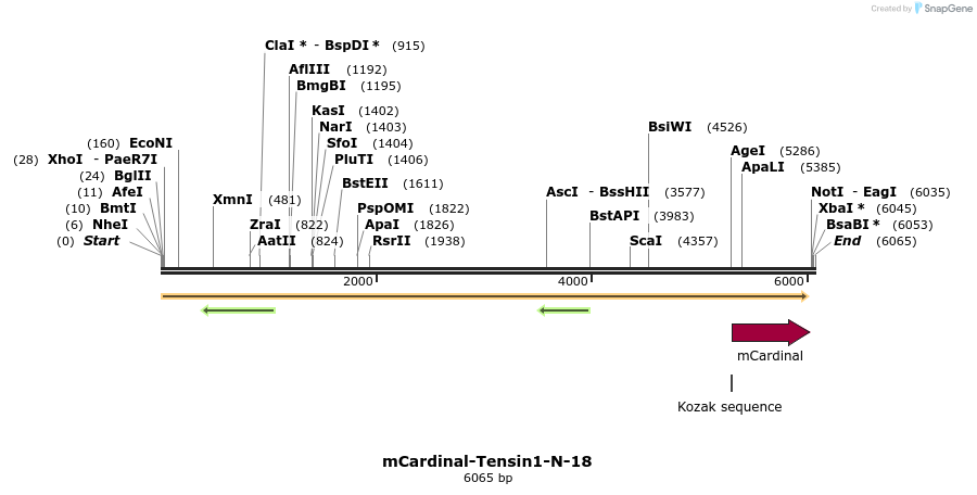 87074_map