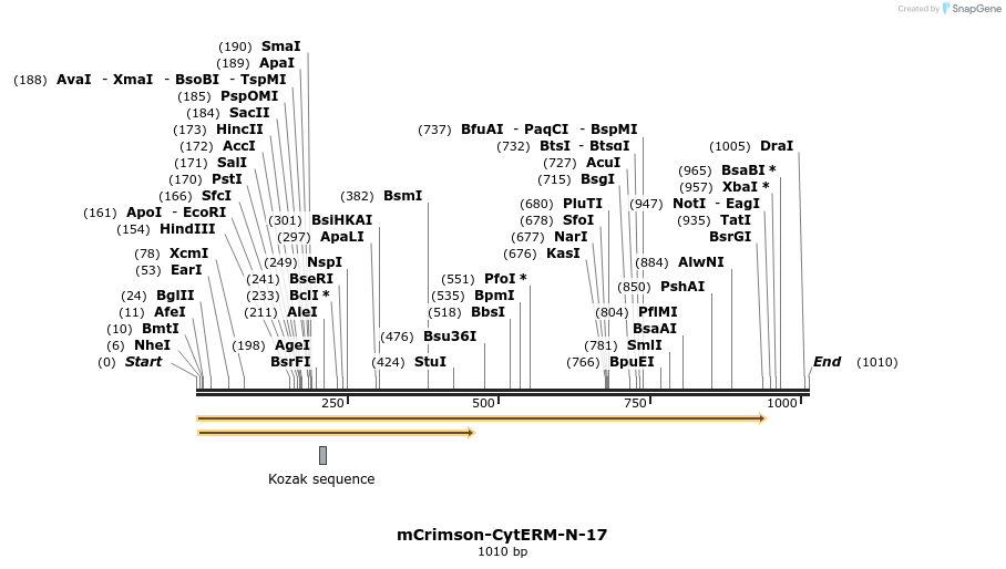 87080_map