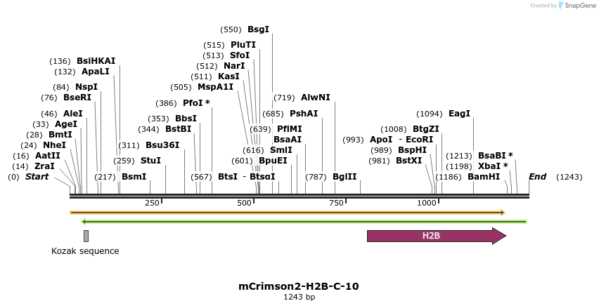 87087_map