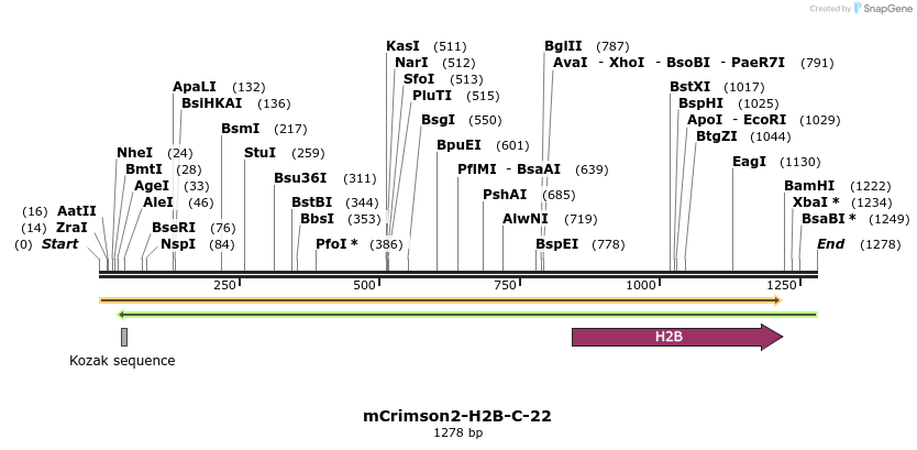 87088_map