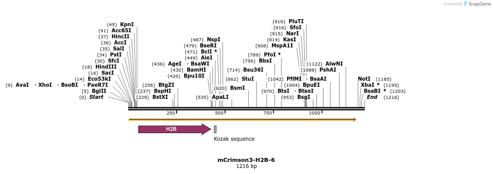 87093_map