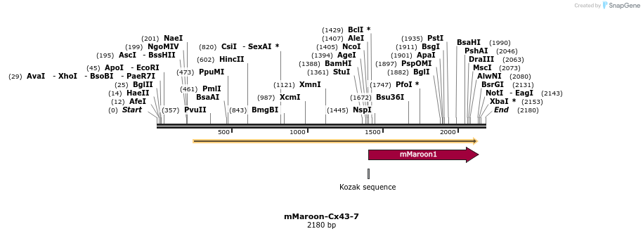 87096_map