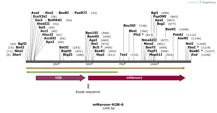 87098_map
