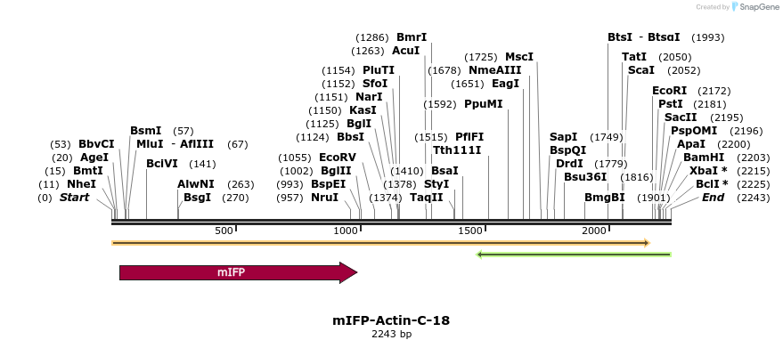 87111_map
