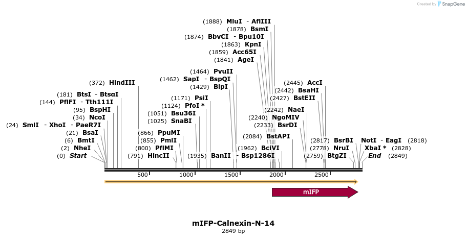 87113_map