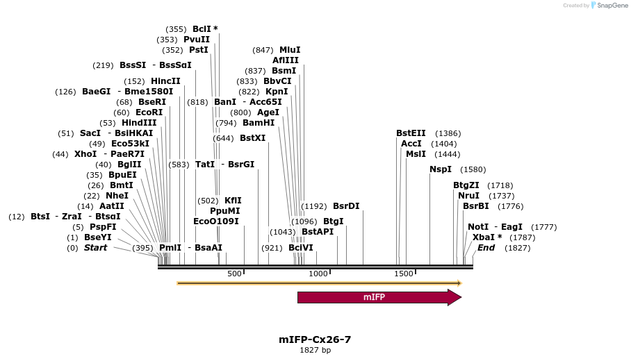 87115_map