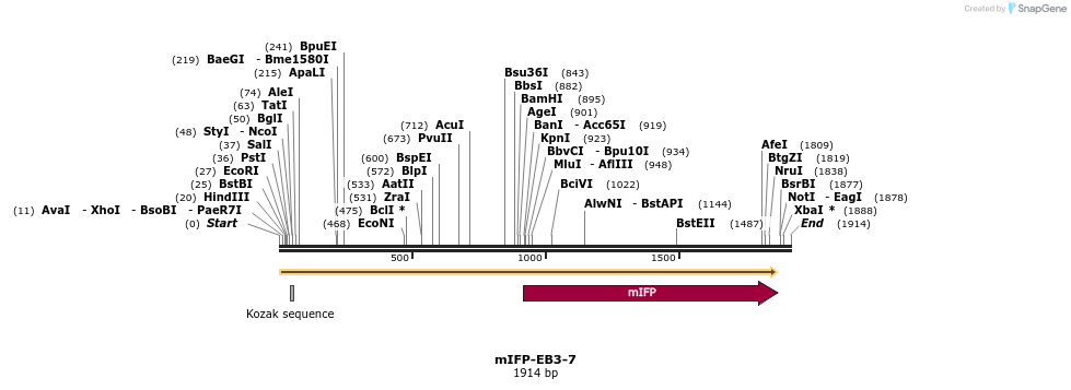 87117_map
