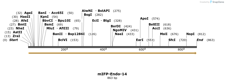 87118_map
