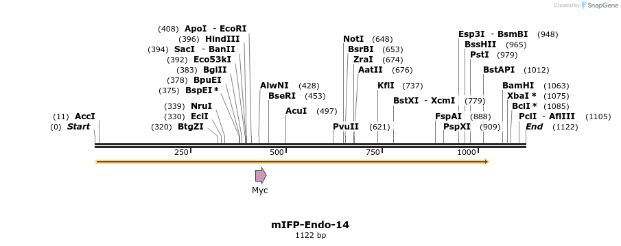 87119_map