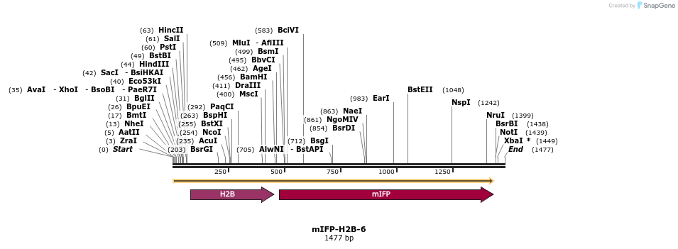 87122_map