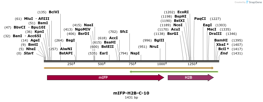 87123_map