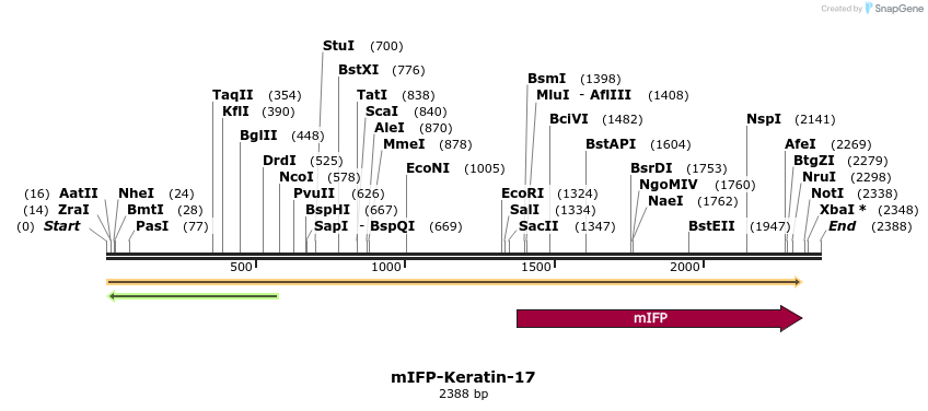 87124_map