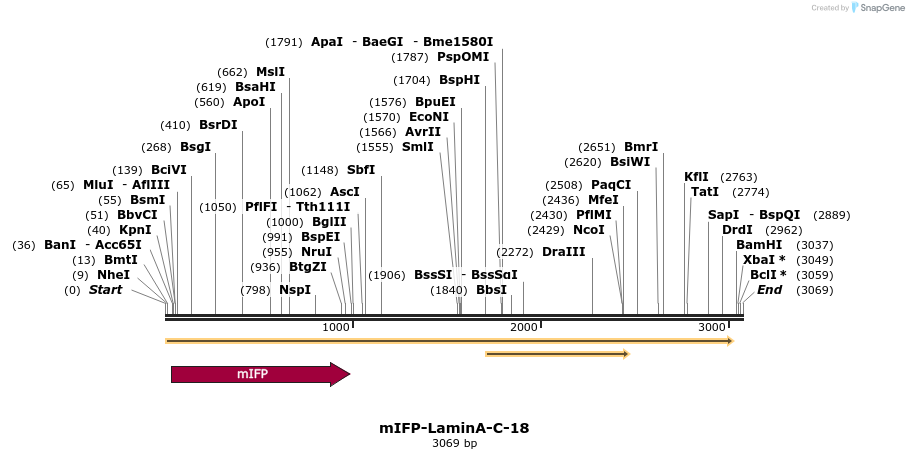 87125_map