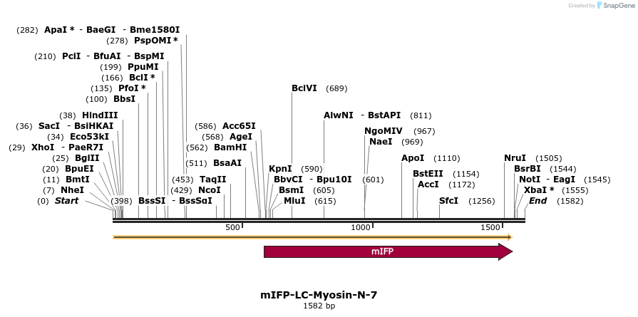87126_map