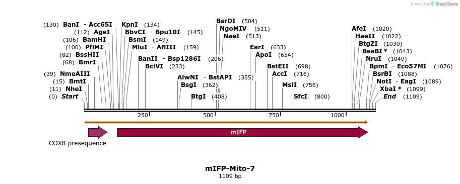 87131_map