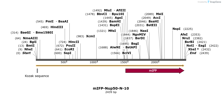 87133_map