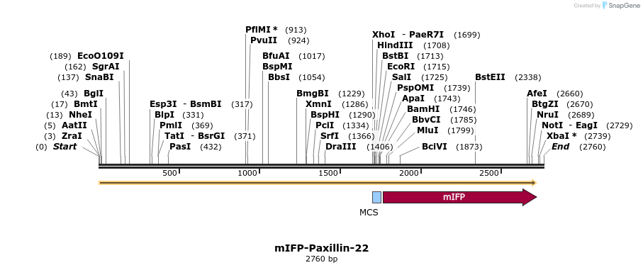 87134_map