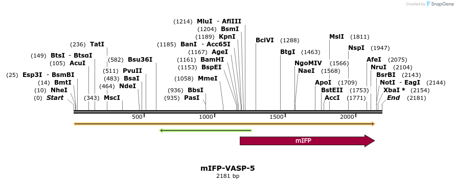 87139_map