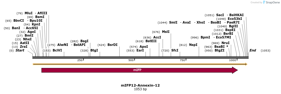 87144_map
