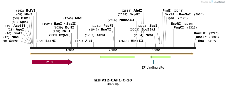 87146_map