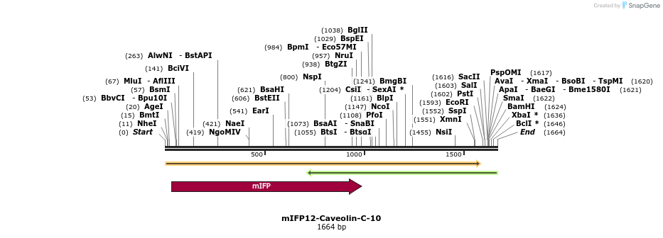 87147_map