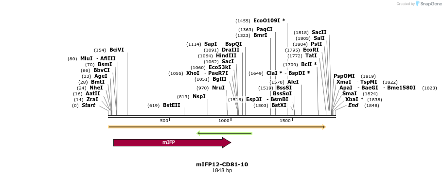 87148_map