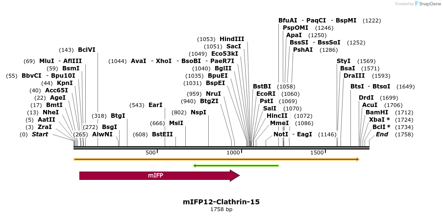 87149_map