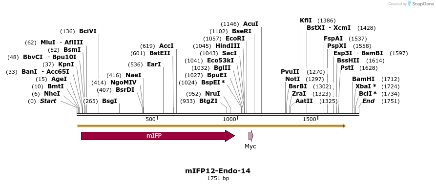 87150_map