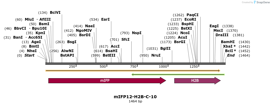 87154_map