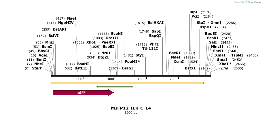 87155_map