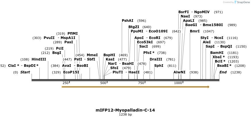 87159_map