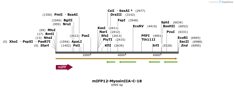 87160_map