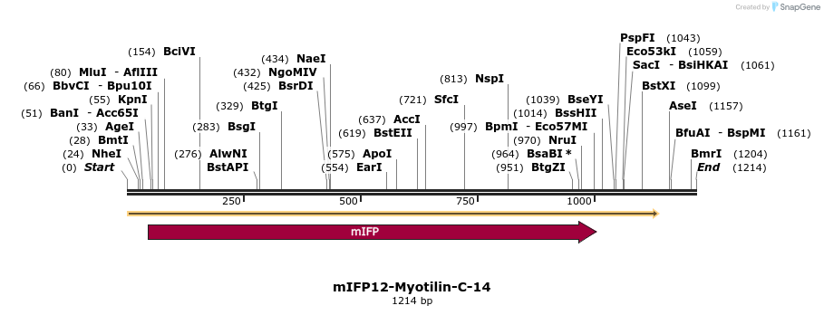 87161_map