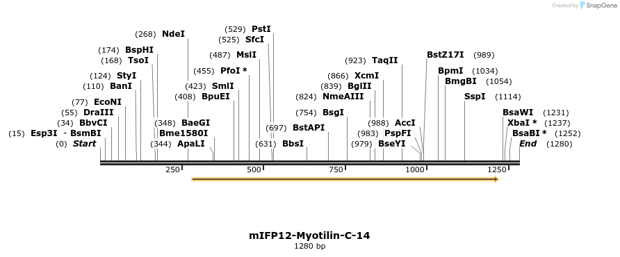 87162_map