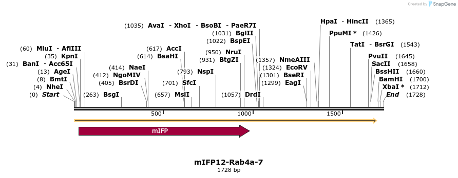 87163_map