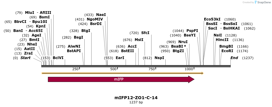 87169_map