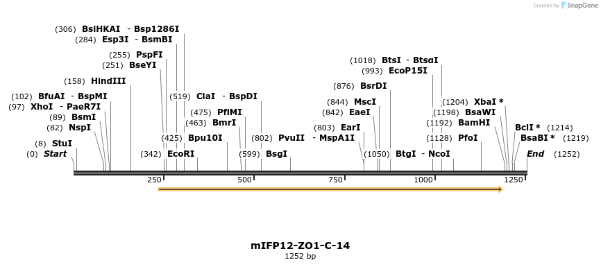 87170_map
