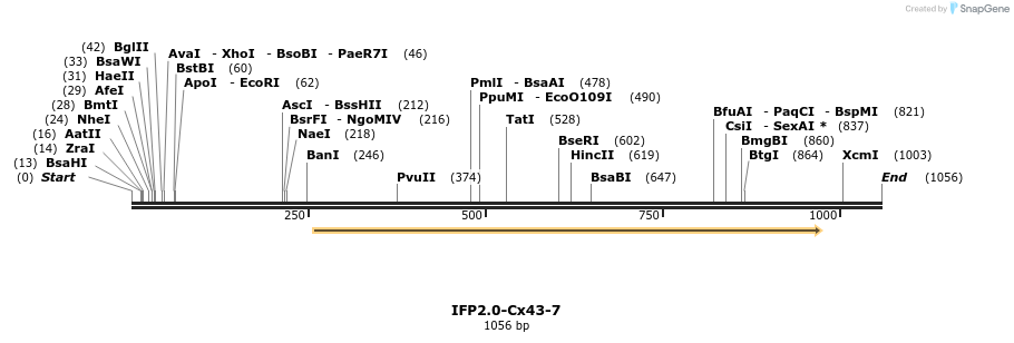 87177_map