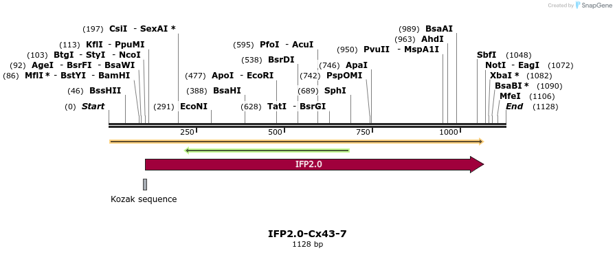 87178_map