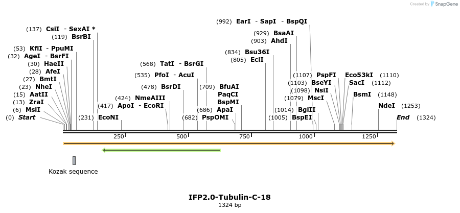 87179_map