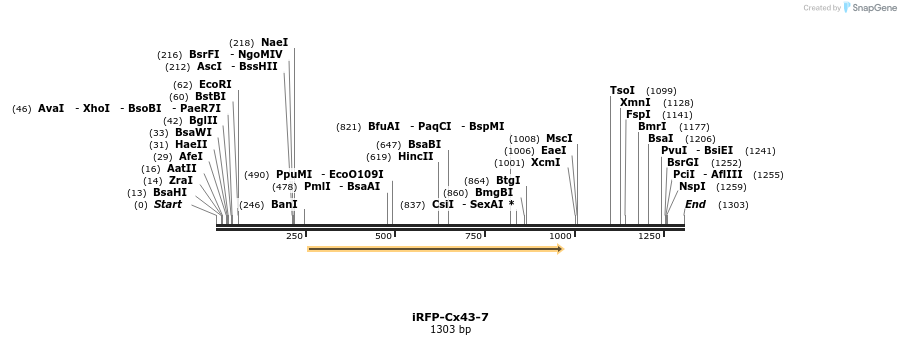 87181_map