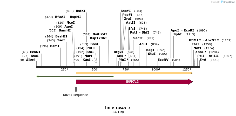87182_map