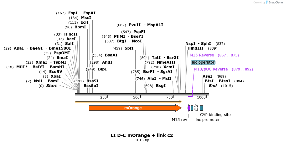 87184_map