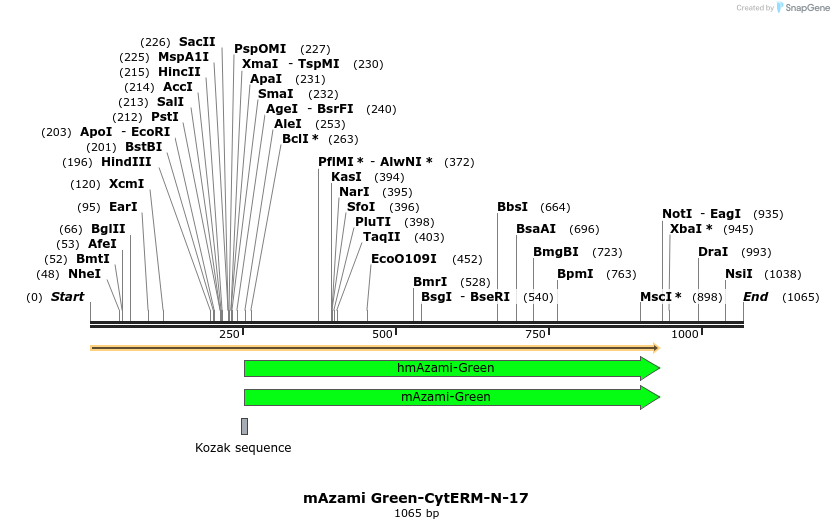 87186_map