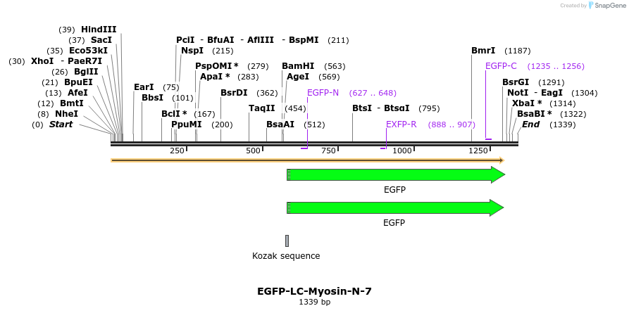 87189_map