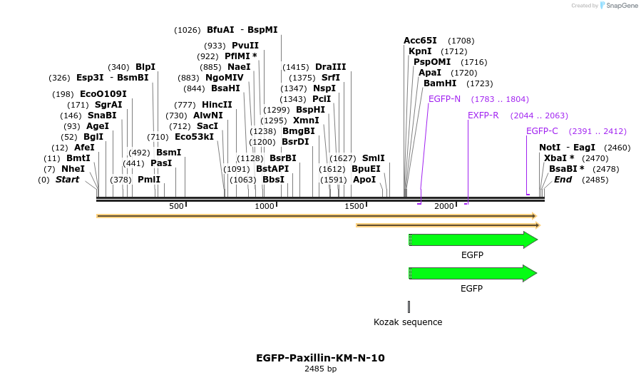 87190_map