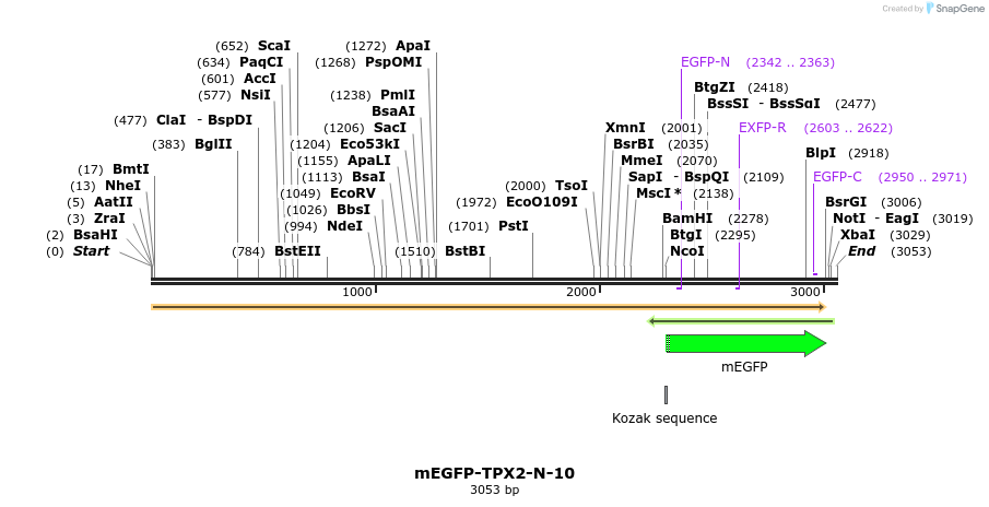 87195_map