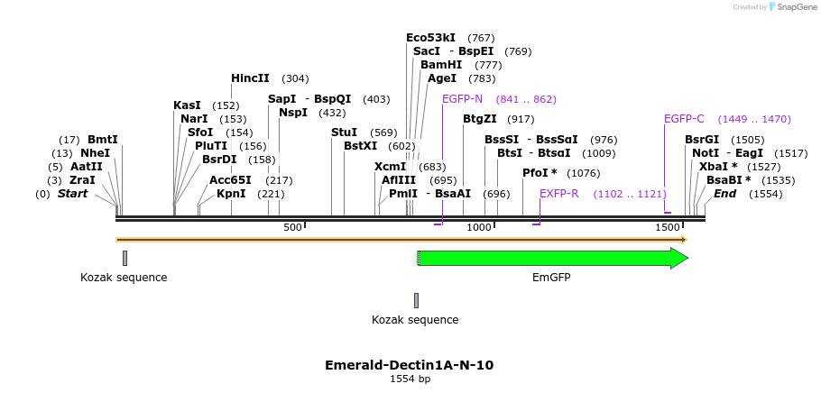 87197_map